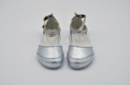 Dune Silver